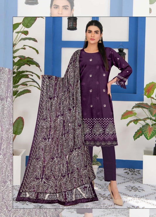 Dhanak Applic+ChikenKari  Suite 3pc