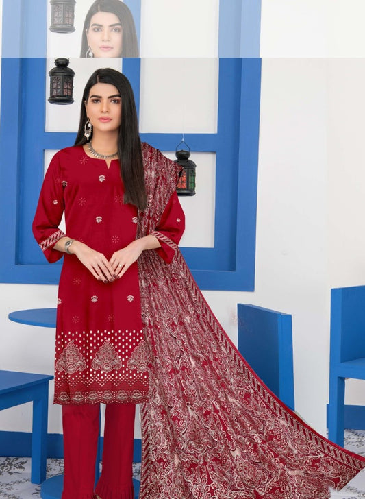 Dhanak Applic+ChikenKari  Suite 3pc
