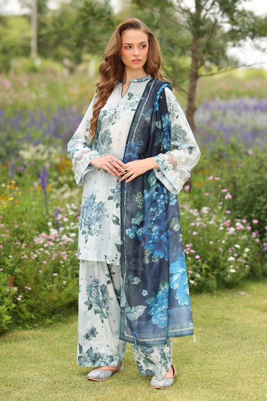 Allover Linen Bana Dora Printed 3Pc